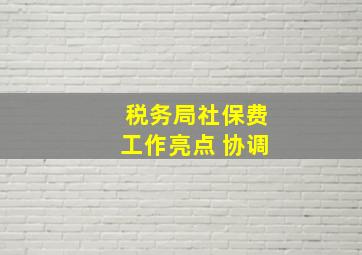 税务局社保费工作亮点 协调